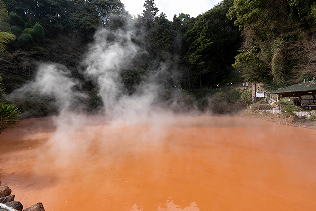 Enjoy everything from the latest tourist spots and Edo culture of Tokyo to the hot springs and traditions of Oita