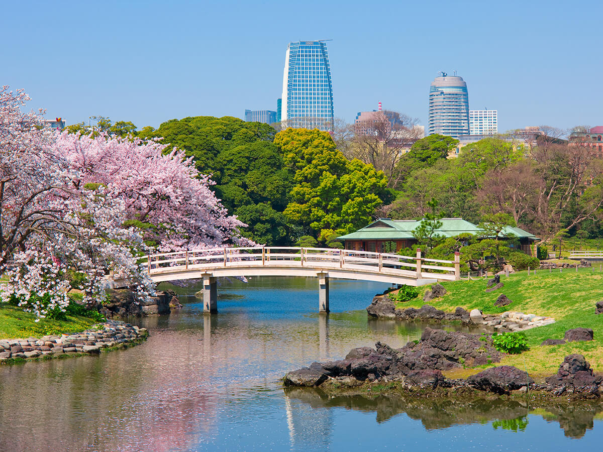 Hama-rikyu Gardens_2