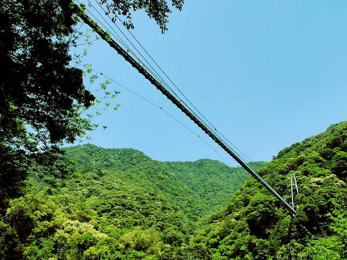 Aya Teruha Suspension Bridge _3