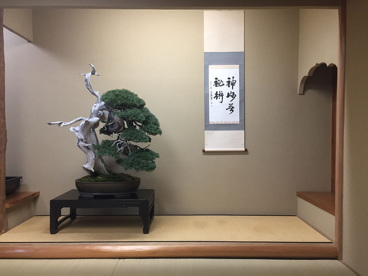 Shunkaen BONSAI Museum_2