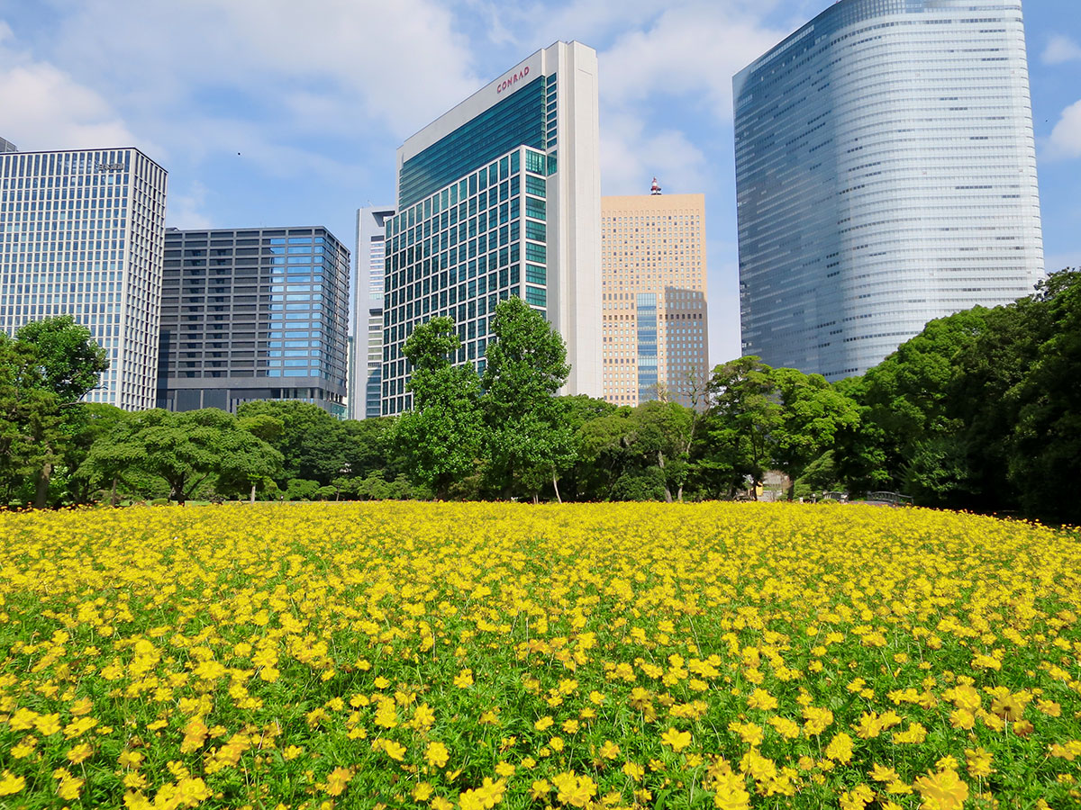 Hama-rikyu Gardens_3