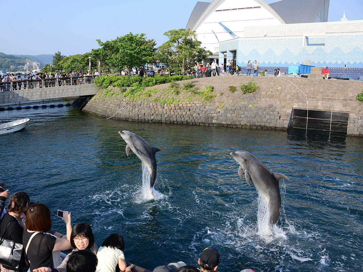 Kagoshima City Aquarium “Io-world”_1
