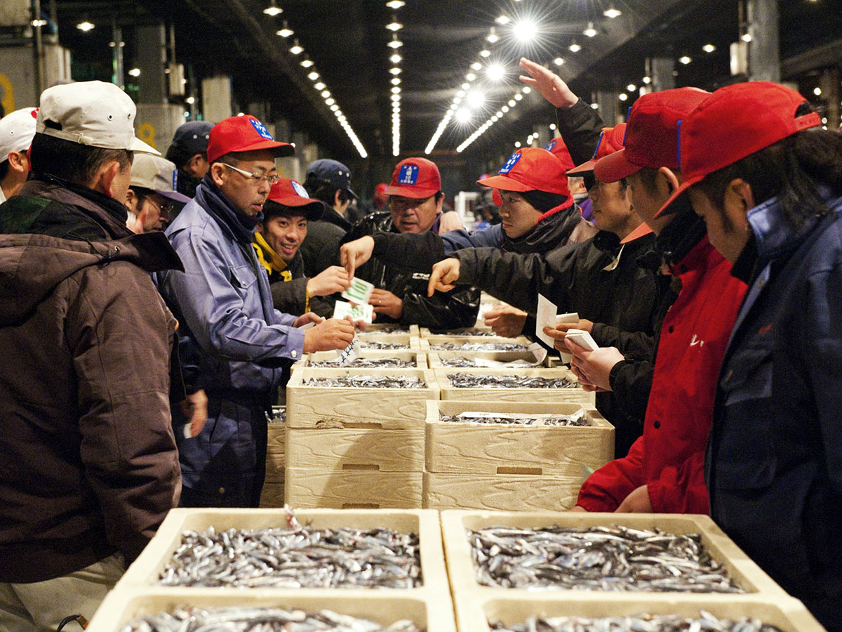 Nagahama Fish Market_1