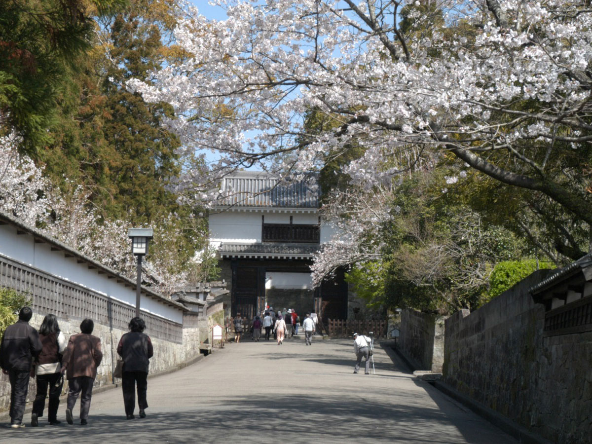 Obi Castle_1