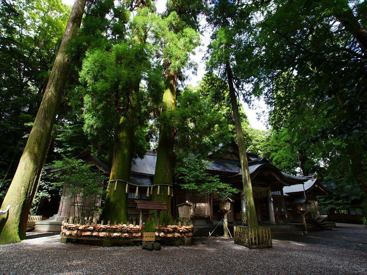 Takachiho Shrine_2