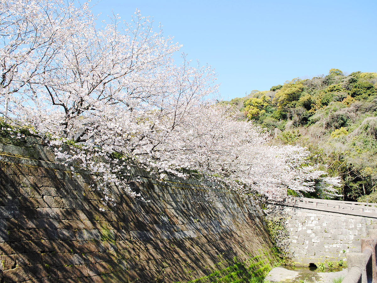 Tsurumaru Castle Ruins (Goromon Gate)_4