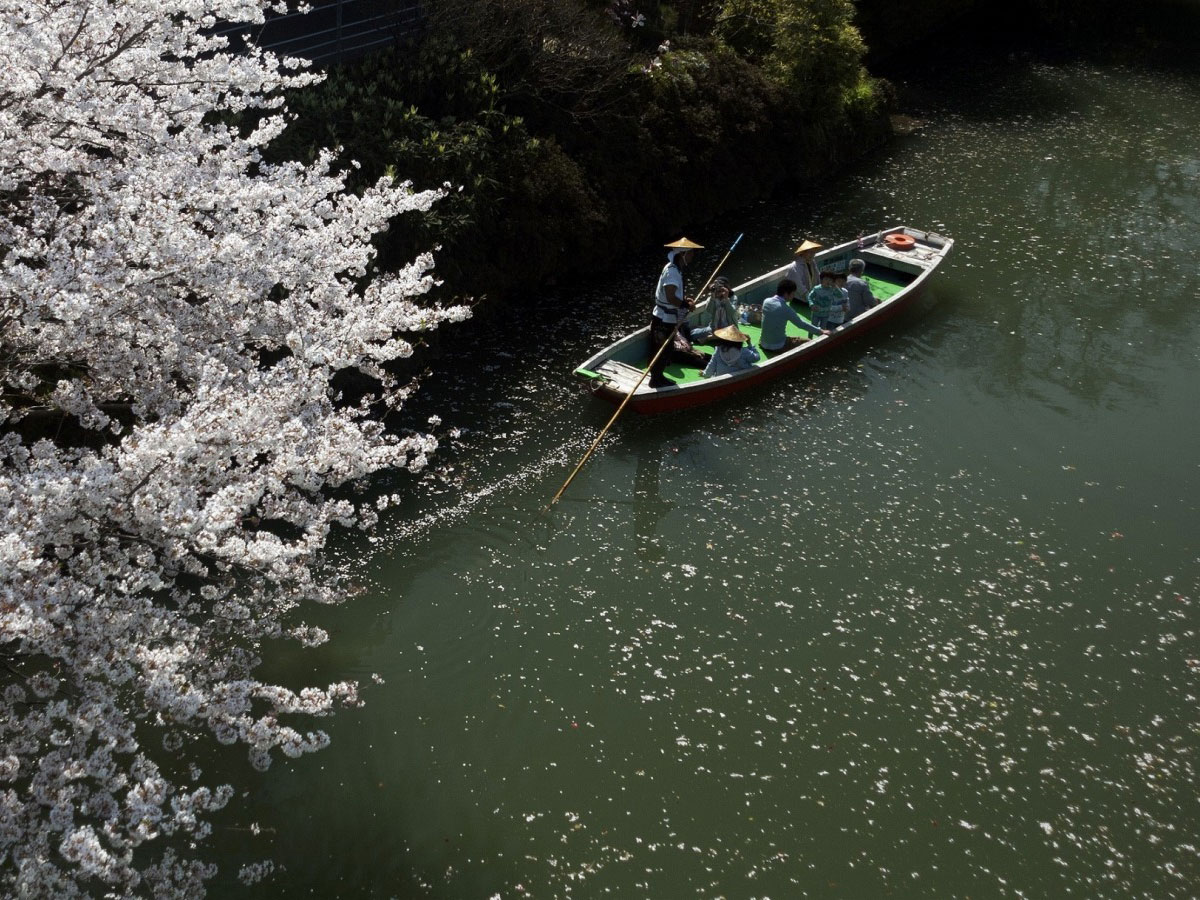 Yanagawa river cruise_2