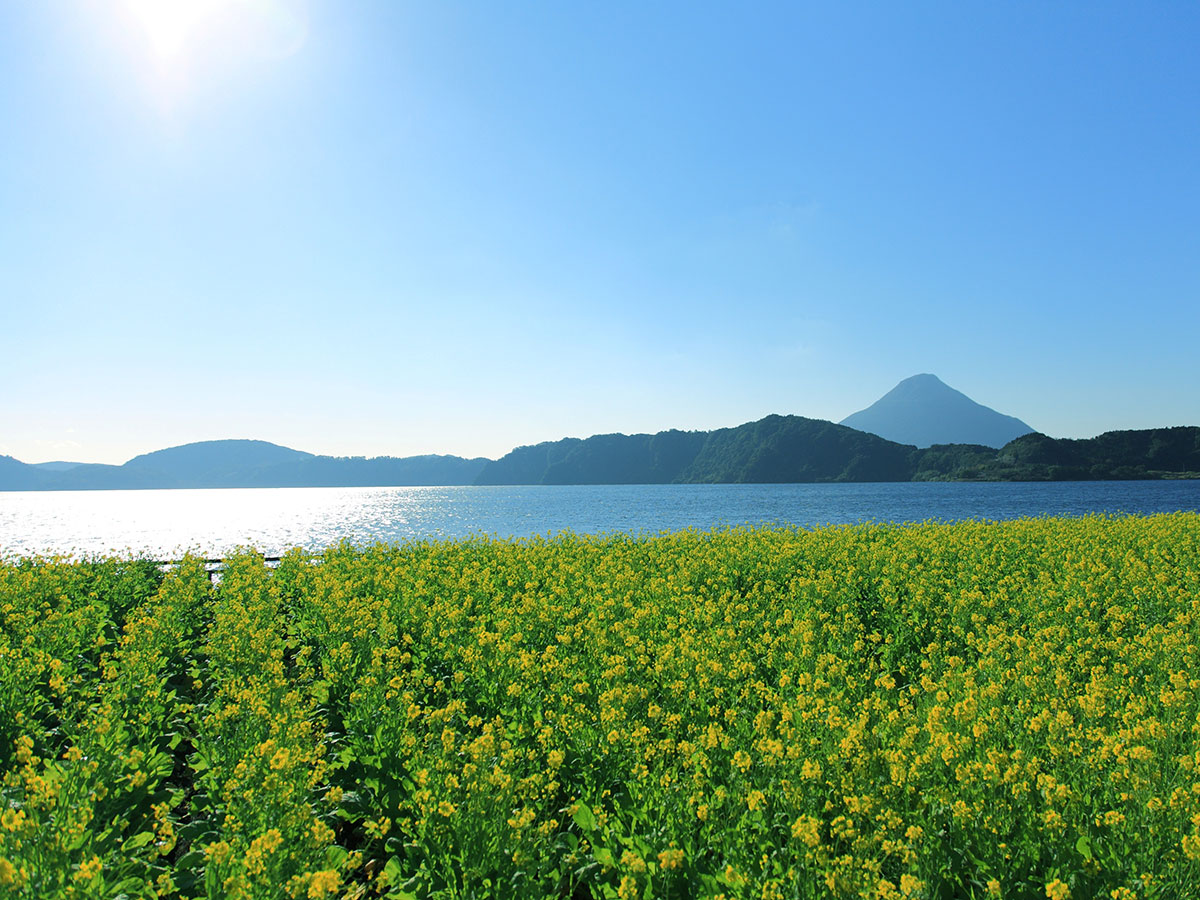 Lake Ikeda | KYUSHU x TOKYO (JAPAN)