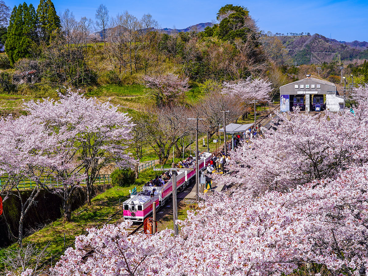 Takachiho Amaterasu Railway_2