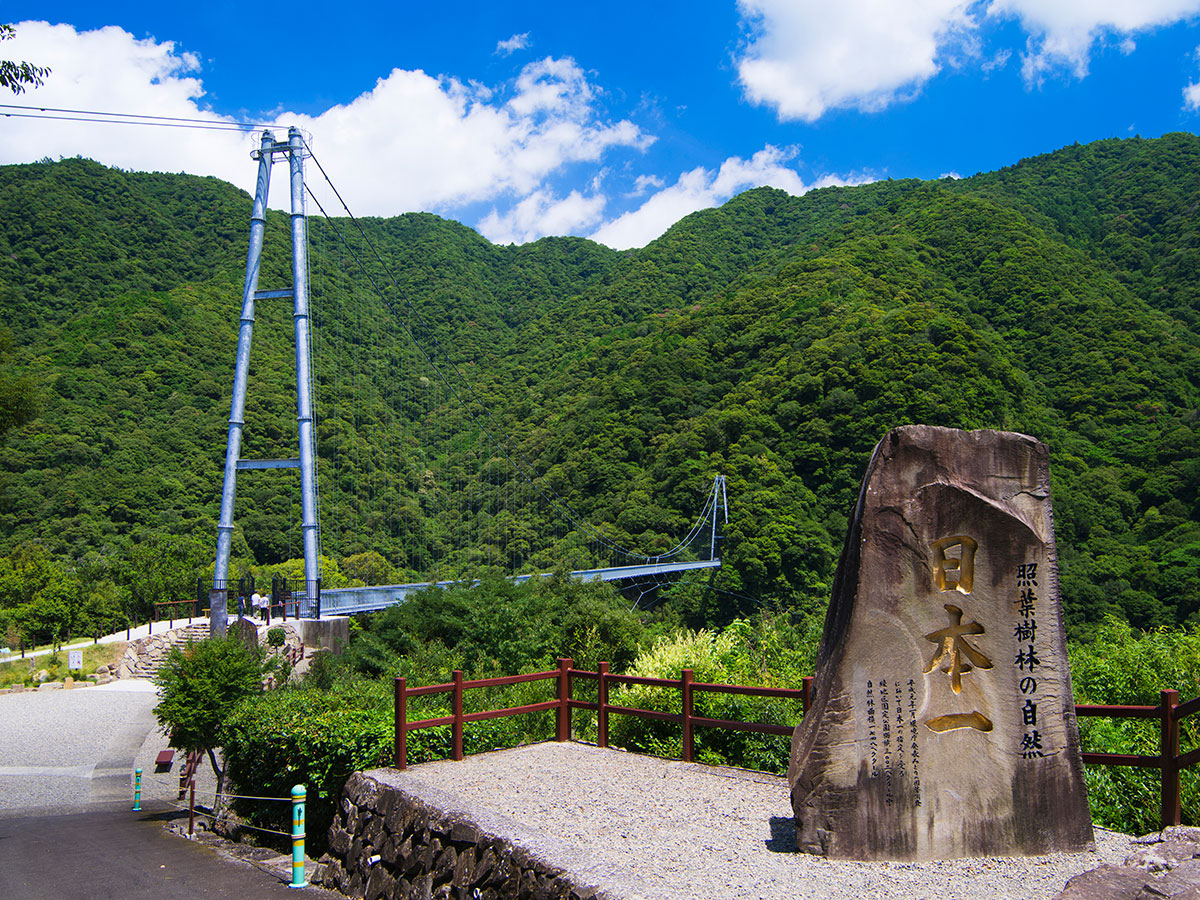 Aya Teruha Suspension Bridge _2