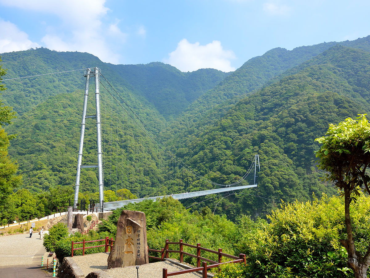 Aya Teruha Suspension Bridge _4