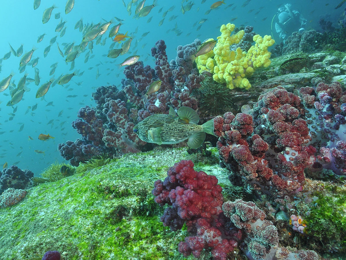 Fukashima Island_1