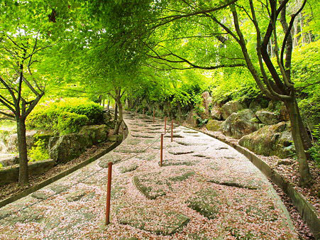 Furuyu Onsen_3
