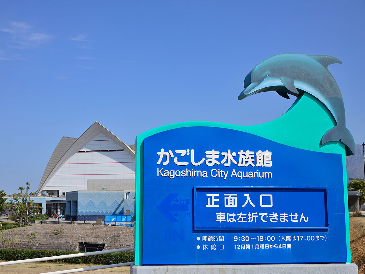 Kagoshima City Aquarium “Io-world”_3