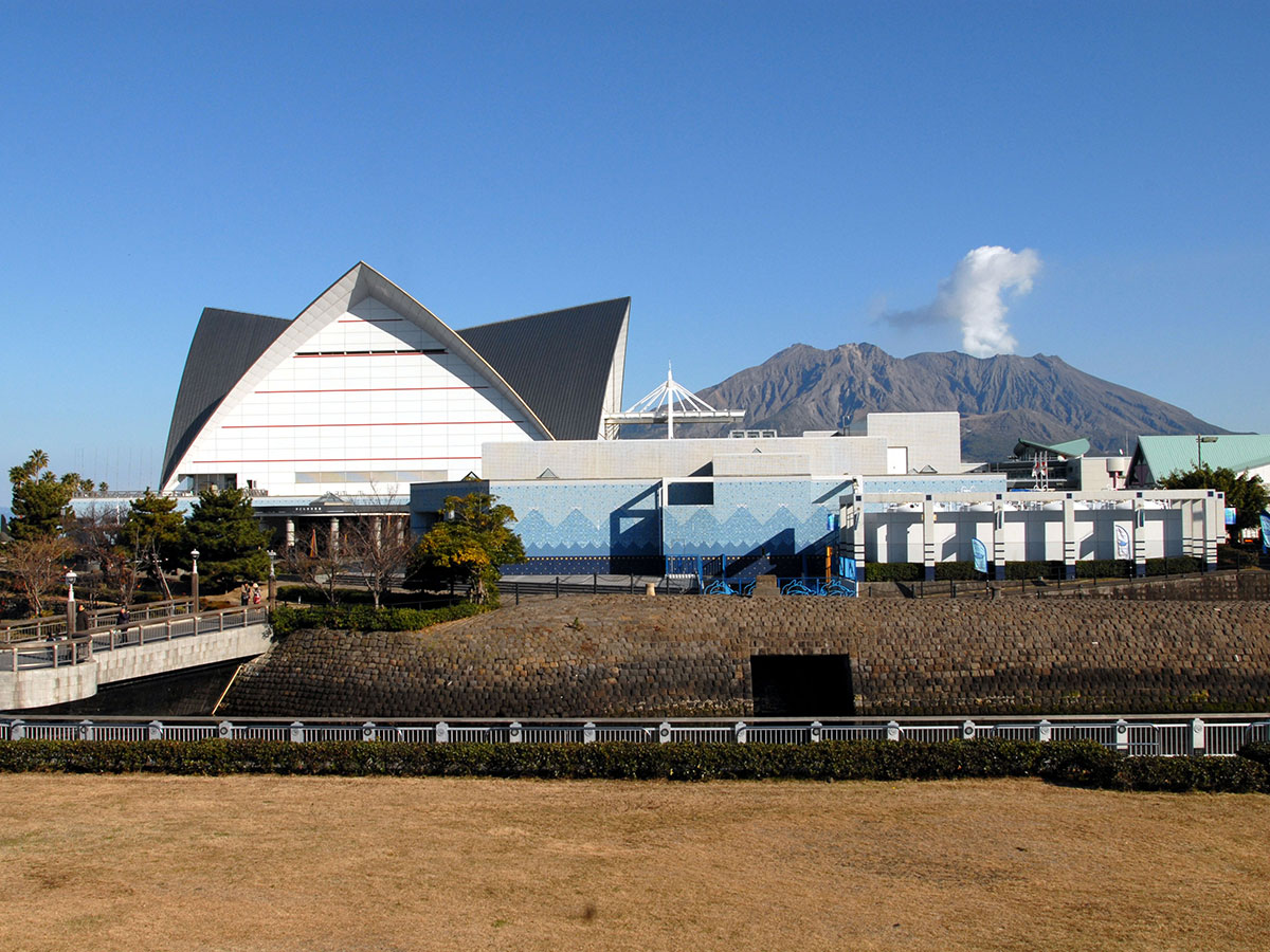Kagoshima City Aquarium “Io-world”_4