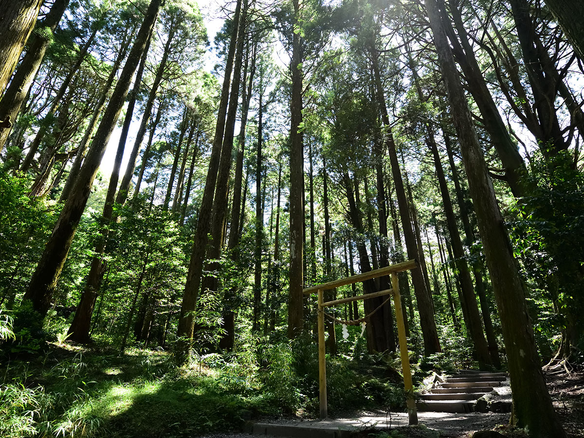 Kirishima-jingu Shrine_2