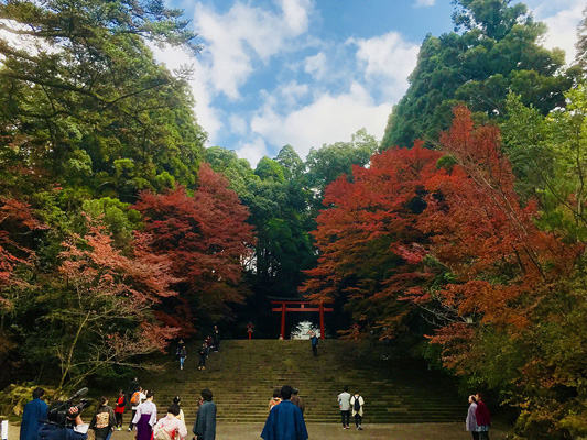 Kirishima-jingu Shrine_3
