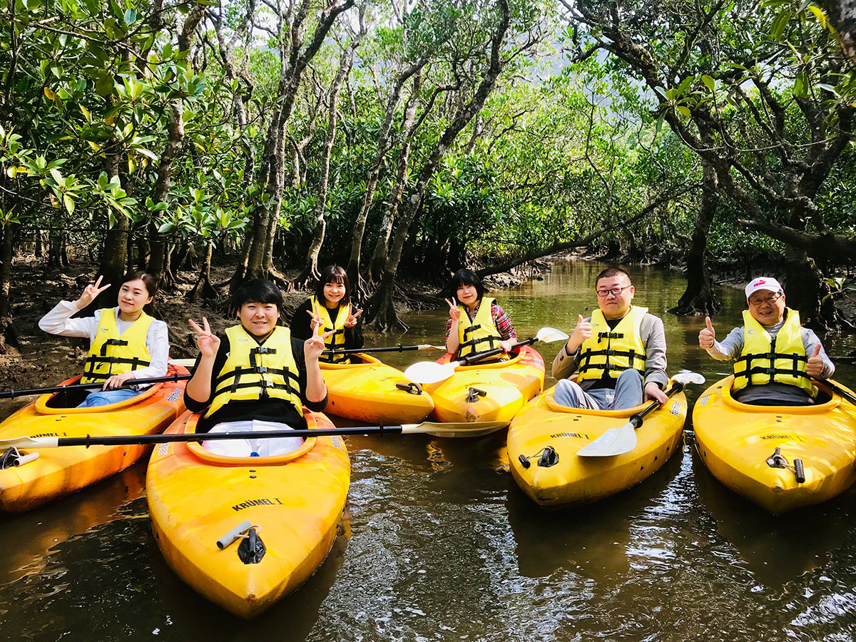 Forest in Black Current Mangrove Park_4