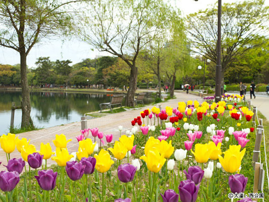 Ohori Park_2