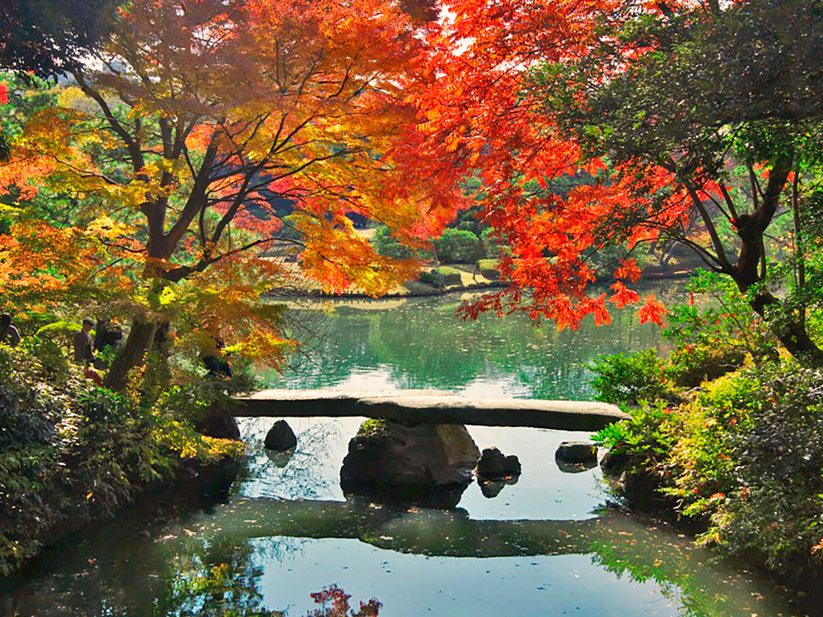 Rikugien Gardens_3