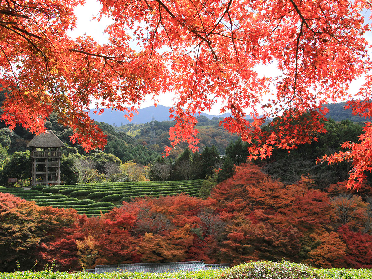 Yoko Museum ・Japanese Garden Keishu-En(making accessory using ceramic parts)_3